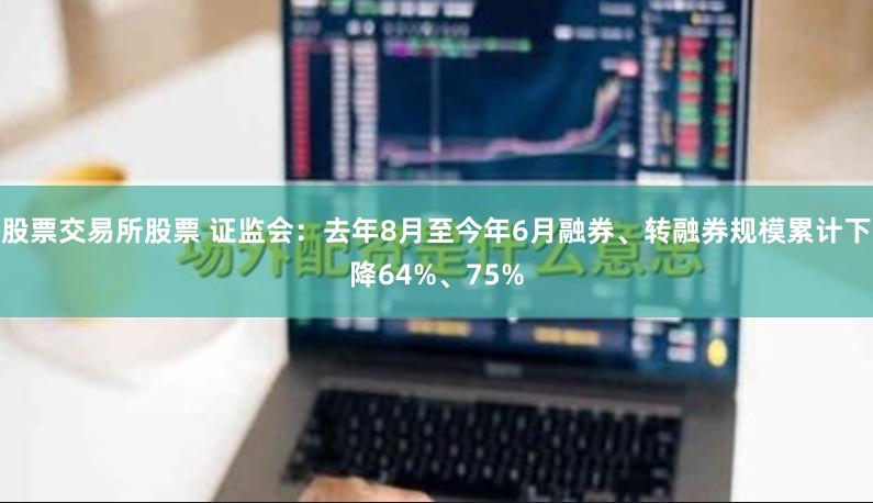 股票交易所股票 证监会：去年8月至今年6月融券、转融券规模累计下降64%、75%