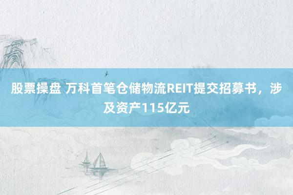 股票操盘 万科首笔仓储物流REIT提交招募书，涉及资产115亿元