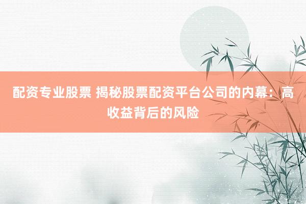 配资专业股票 揭秘股票配资平台公司的内幕：高收益背后的风险